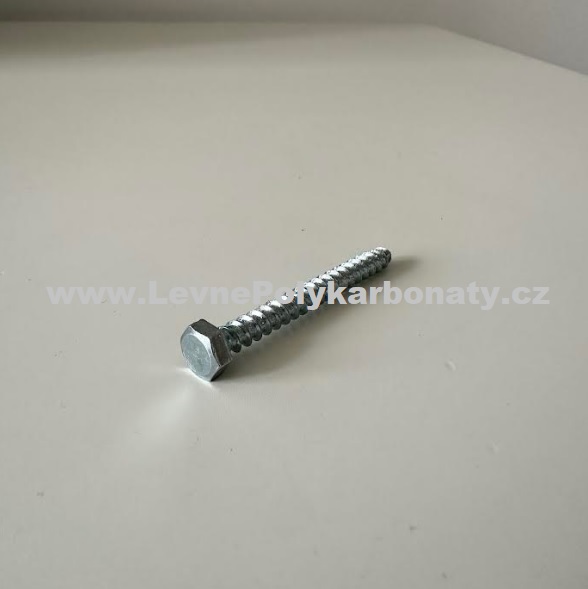 Vrut do DŘEVA 6-ti hranná hlava STŘÍBRNÝ bez podložky - š. 5 mm x dl. 50 mm (1 ks)